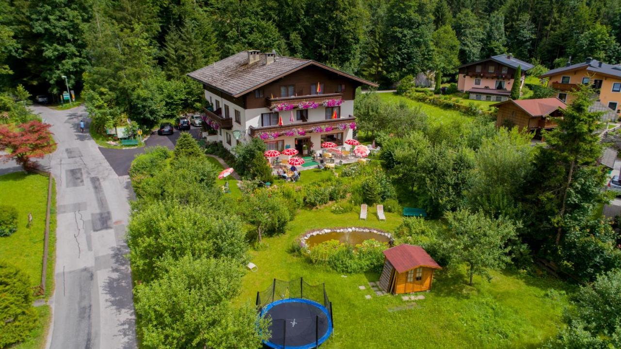 Pension Wildental ザンクト・マルティン・バイ・ローファー エクステリア 写真